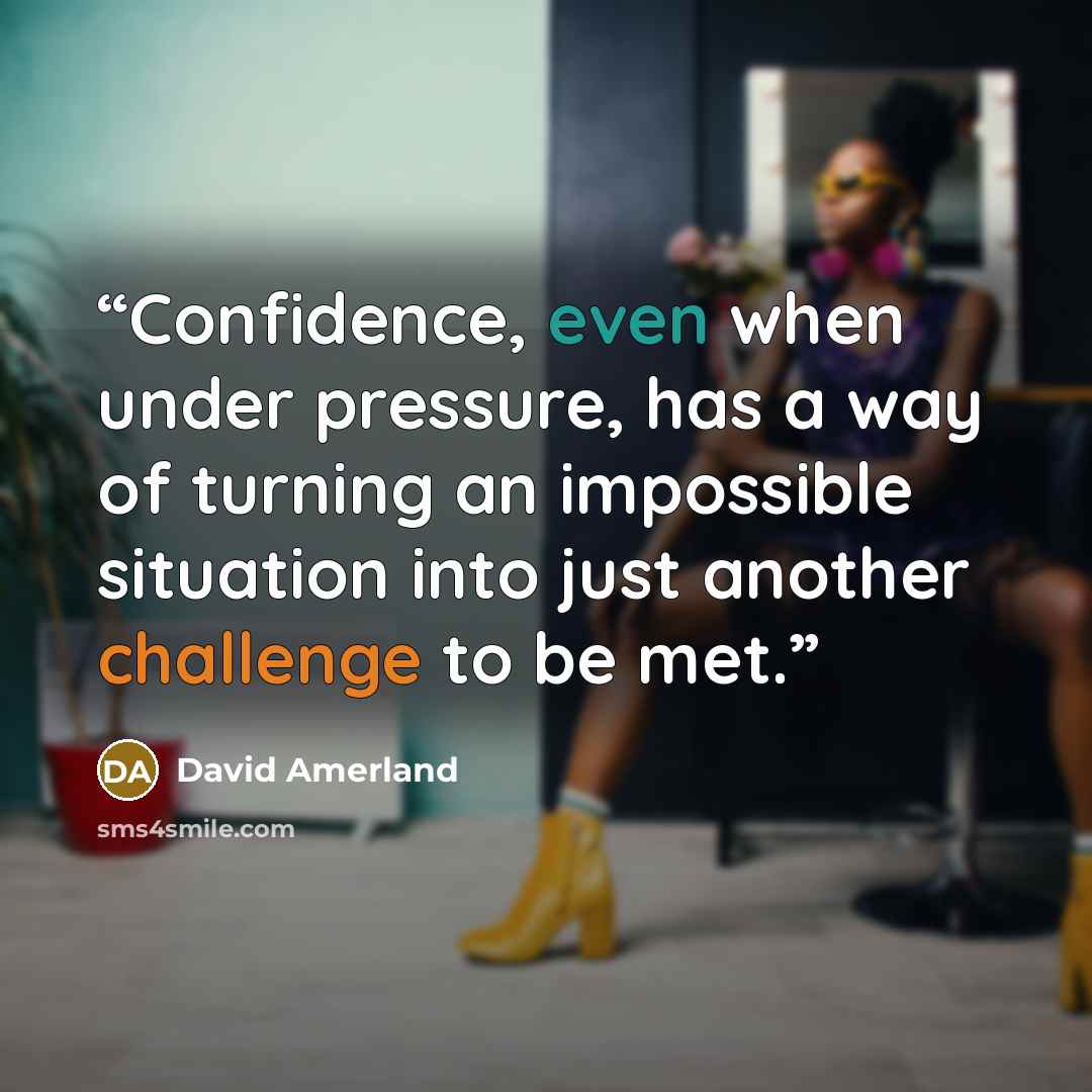 “Confidence, even when under pressure, has a way of turning an impossible situation into just another challenge to be met.” quote by David Amerland