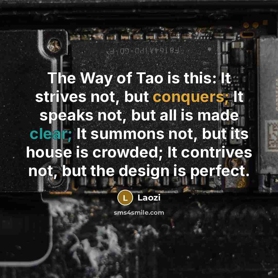 “The Way of Tao is this: It strives not, but conquers; It speaks not, but all is made clear; It summons not, but its house is crowded; It contrives not, but the design is perfect.” quote by Laozi