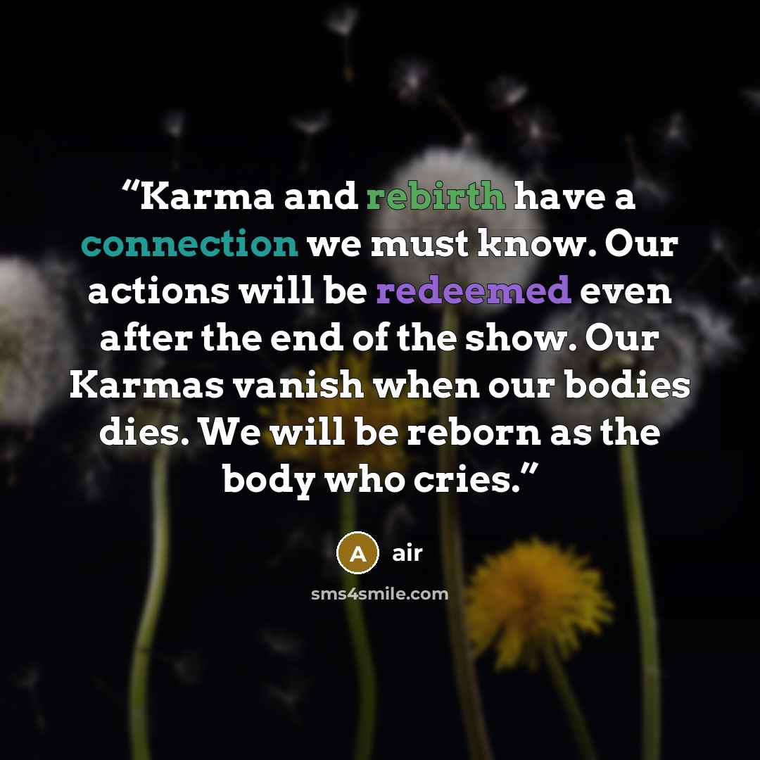 “Karma and rebirth have a connection we must know. Our actions will be redeemed even after the end of the show. Our Karmas vanish when our bodies dies. We will be reborn as the body who cries.” quote by AiR