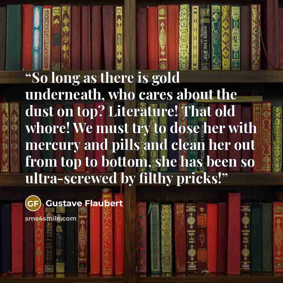 “So long as there is gold underneath, who cares about the dust on top? Literature! That old whore! We must try to dose her with mercury and pills and clean her out from top to bottom, she has been so ultra-screwed by filthy pricks!” quote by Gustave Flaubert