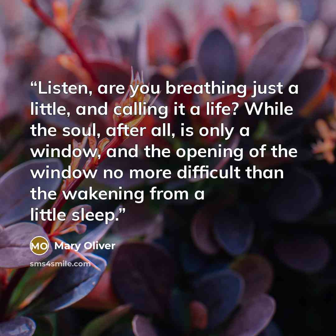 “Listen, are you breathing just a little, and calling it a life? While the soul, after all, is only a window, and the opening of the window no more difficult than the wakening from a little sleep.” quote by Mary Oliver