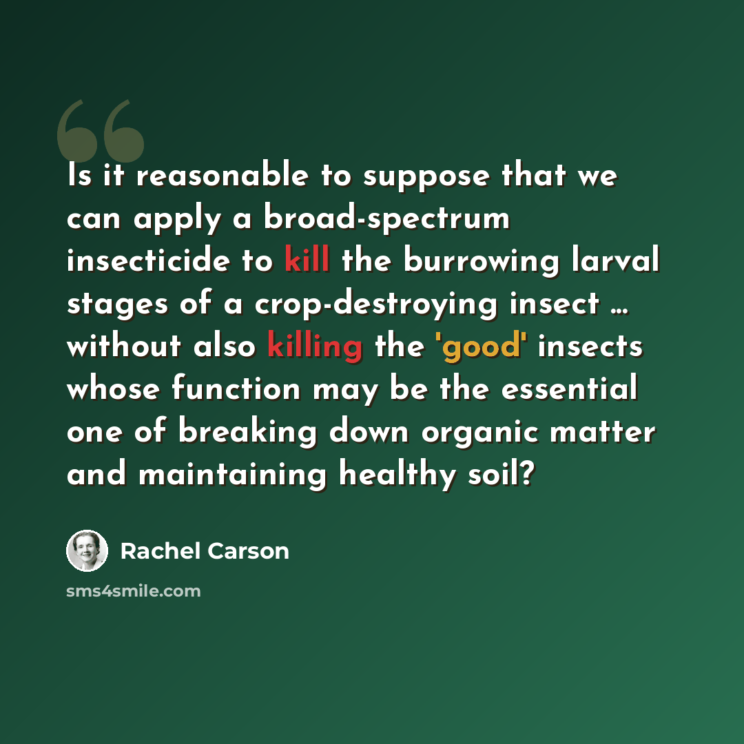 “Is it reasonable to suppose that we can apply a broad-spectrum insecticide to kill the burrowing larval stages of a crop-destroying insect ... without also killing the 'good' insects whose function may be the essential one of breaking down organic matter and maintaining healthy soil?” quote by Rachel Carson