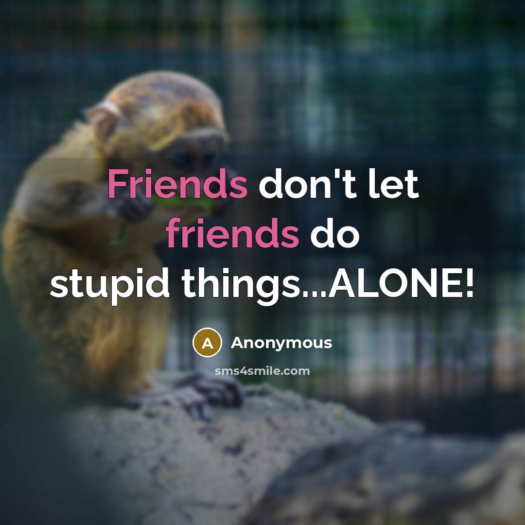 “Friends don't let friends do stupid things...ALONE!” quote by Anonymous