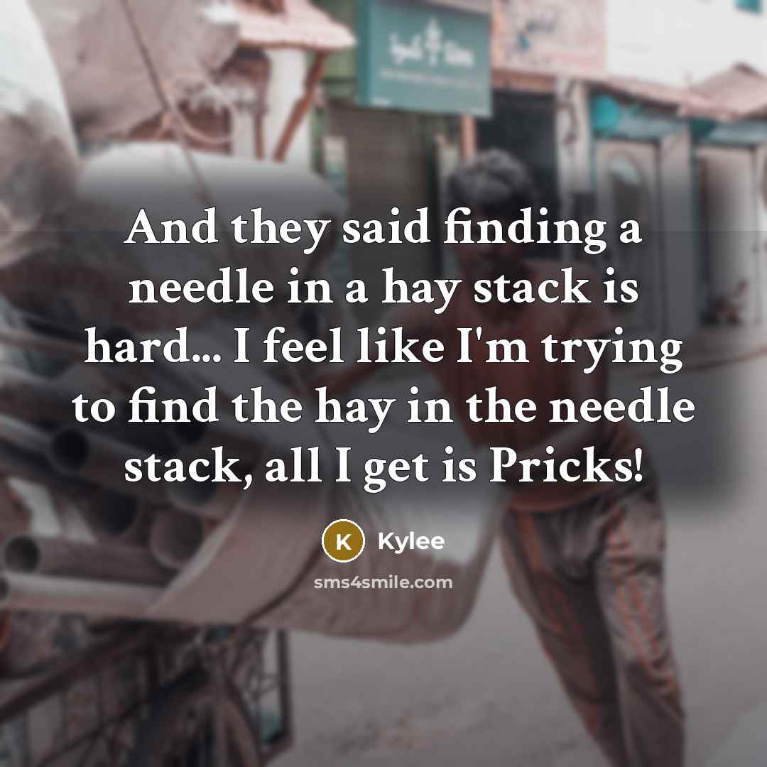 “And they said finding a needle in a hay stack is hard... I feel like I'm trying to find the hay in the needle stack, all I get is Pricks!” quote by Kylee