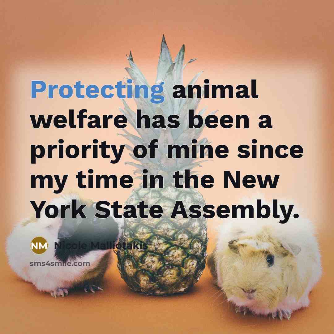 “Protecting animal welfare has been a priority of mine since my time in the New York State Assembly.” quote by Nicole Malliotakis