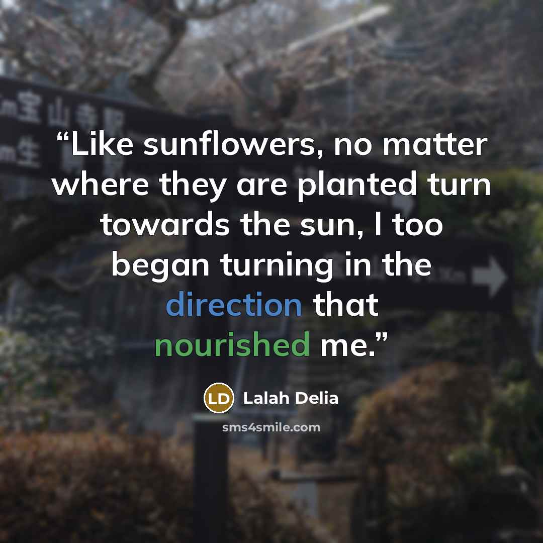 “Like sunflowers, no matter where they are planted turn towards the sun, I too began turning in the direction that nourished me.” quote by Lalah Delia