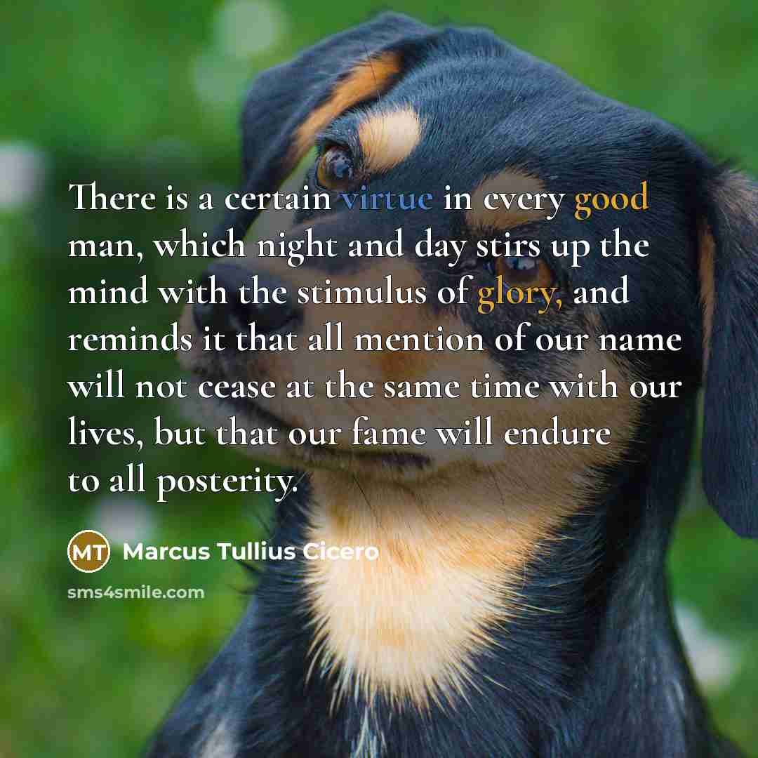 “There is a certain virtue in every good man, which night and day stirs up the mind with the stimulus of glory, and reminds it that all mention of our name will not cease at the same time with our lives, but that our fame will endure to all posterity.” quote by Marcus Tullius Cicero