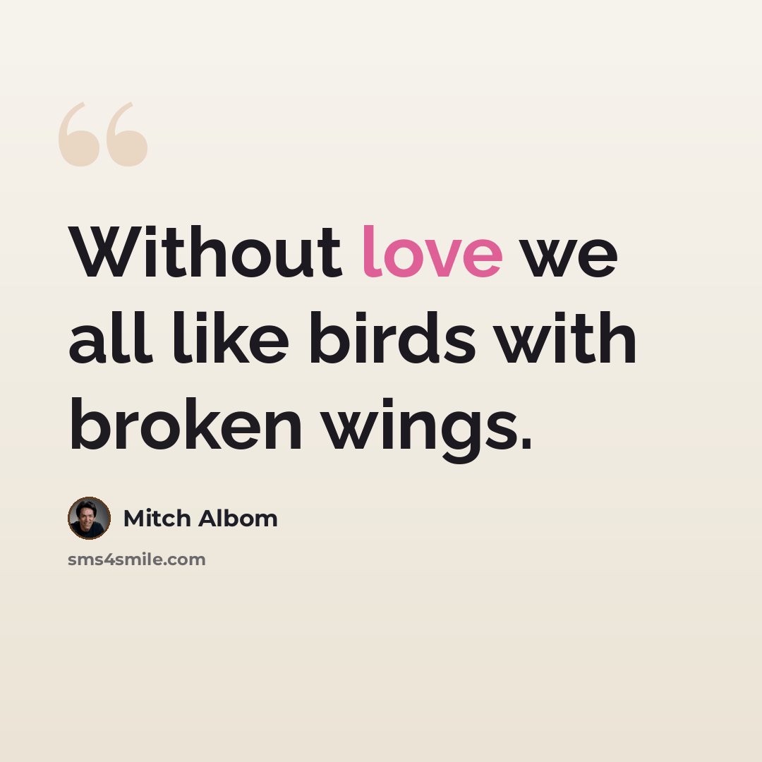 “Without love we all like birds with broken wings.” quote by Mitch Albom