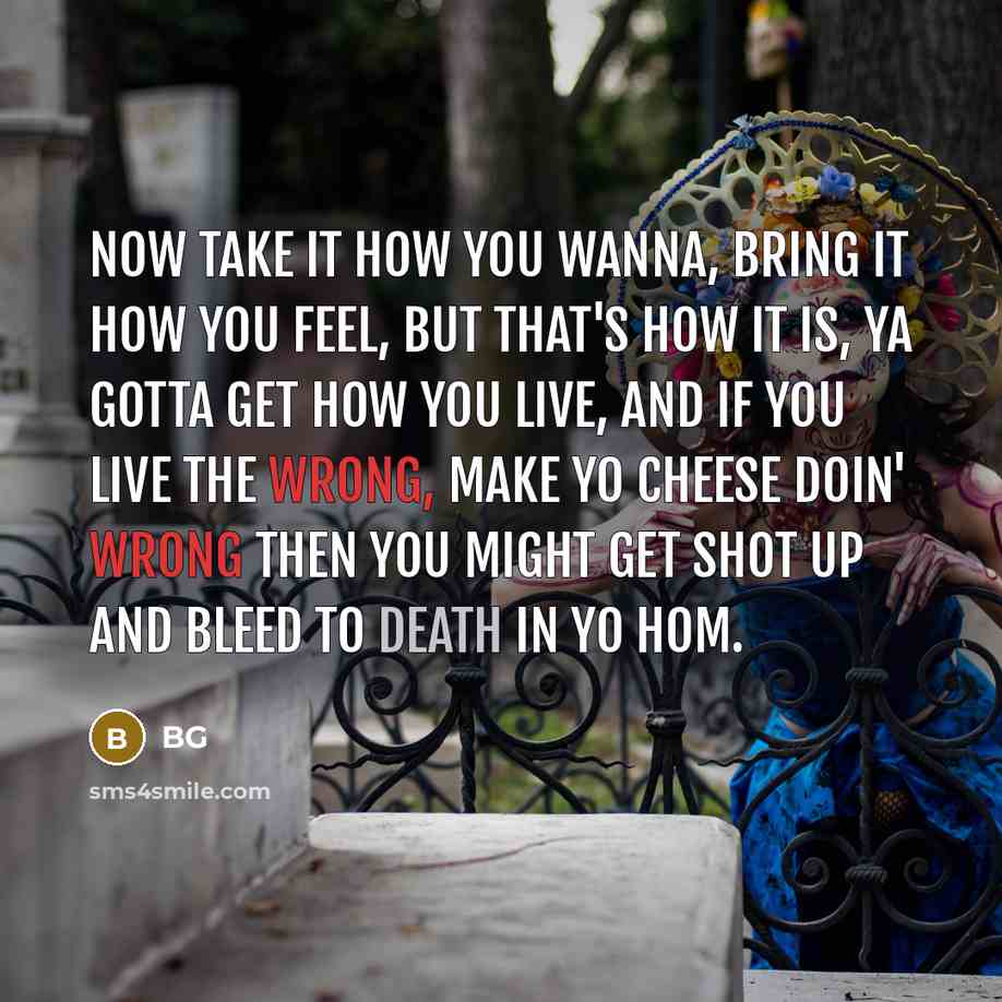 “Now take it how you wanna, bring it how you feel, but that's how it is, ya gotta get how you live, and if you live the wrong, make yo cheese doin' wrong then you might get shot up and bleed to death in yo hom.” quote by BG