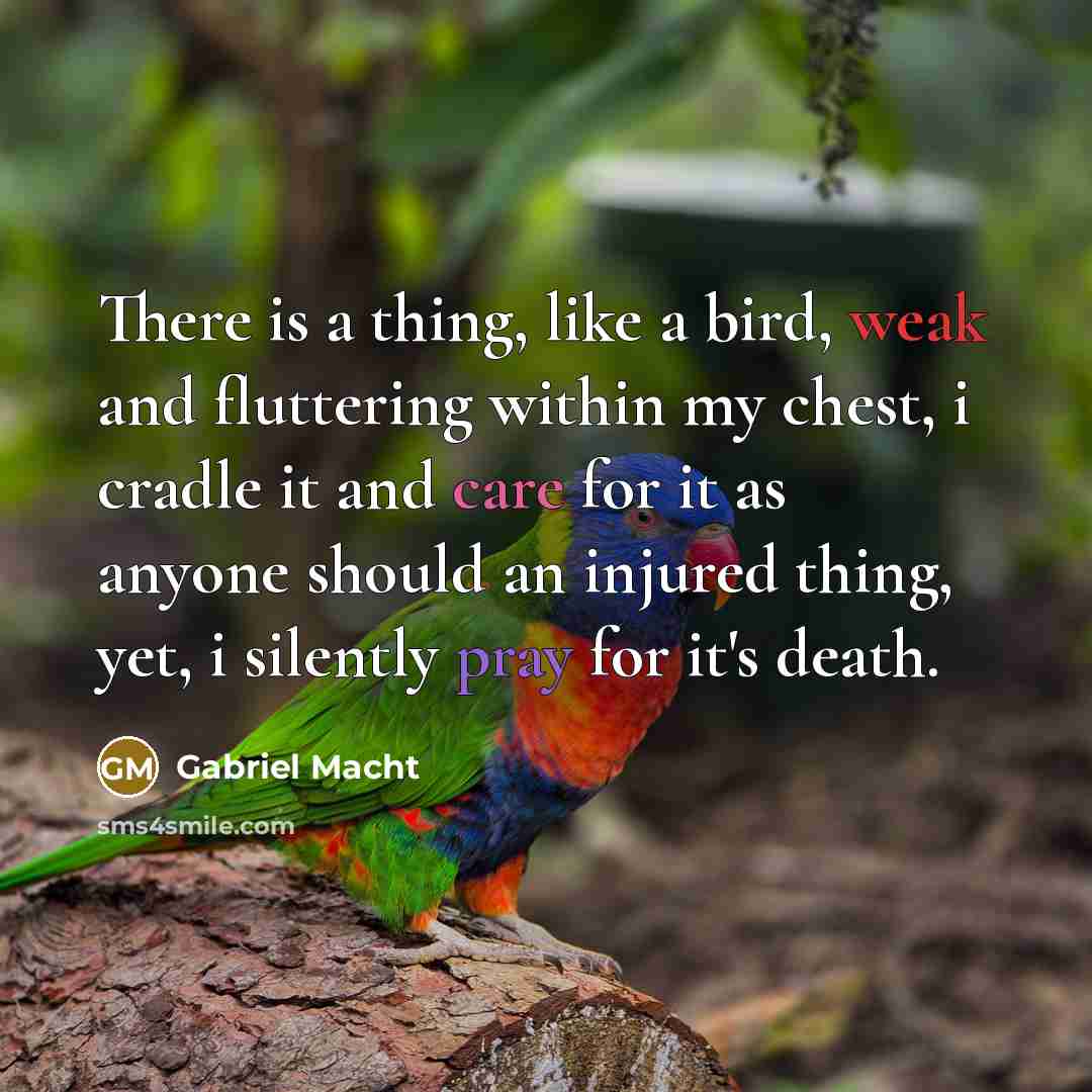 “There is a thing, like a bird, weak and fluttering within my chest, i cradle it and care for it as anyone should an injured thing, yet, i silently pray for it's death.” quote by Gabriel Macht