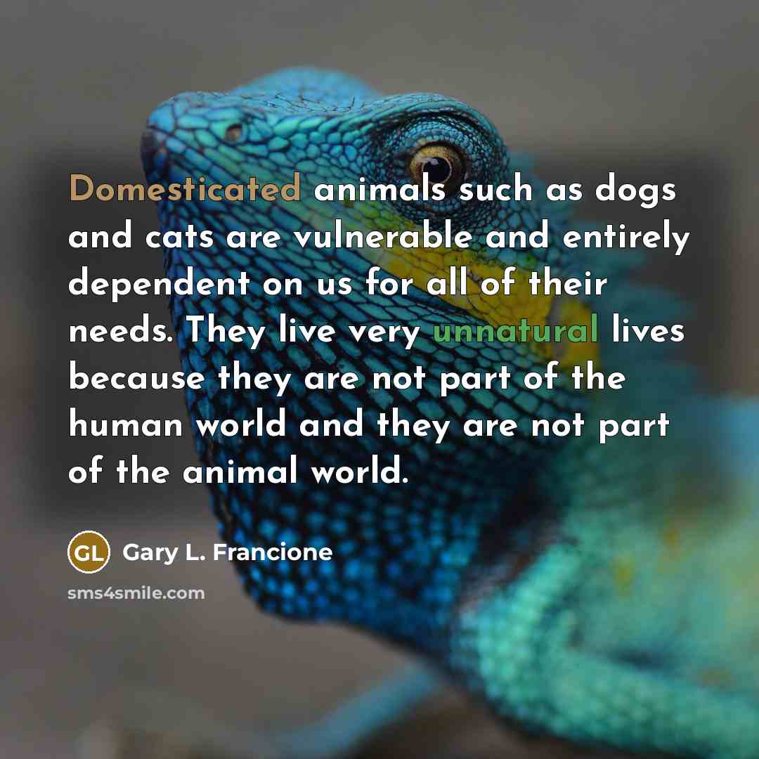 “Domesticated animals such as dogs and cats are vulnerable and entirely dependent on us for all of their needs. They live very unnatural lives because they are not part of the human world and they are not part of the animal world.” quote by Gary L. Francione
