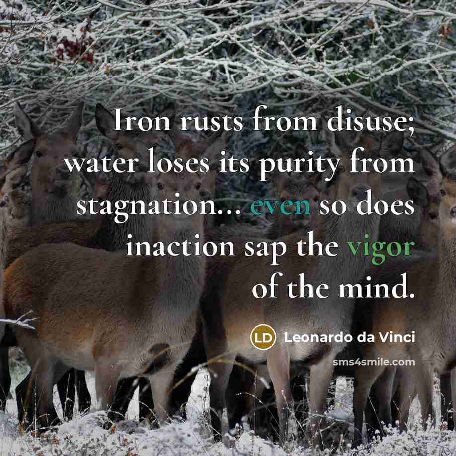 “Iron rusts from disuse; water loses its purity from stagnation... even so does inaction sap the vigor of the mind.” quote by Leonardo da Vinci