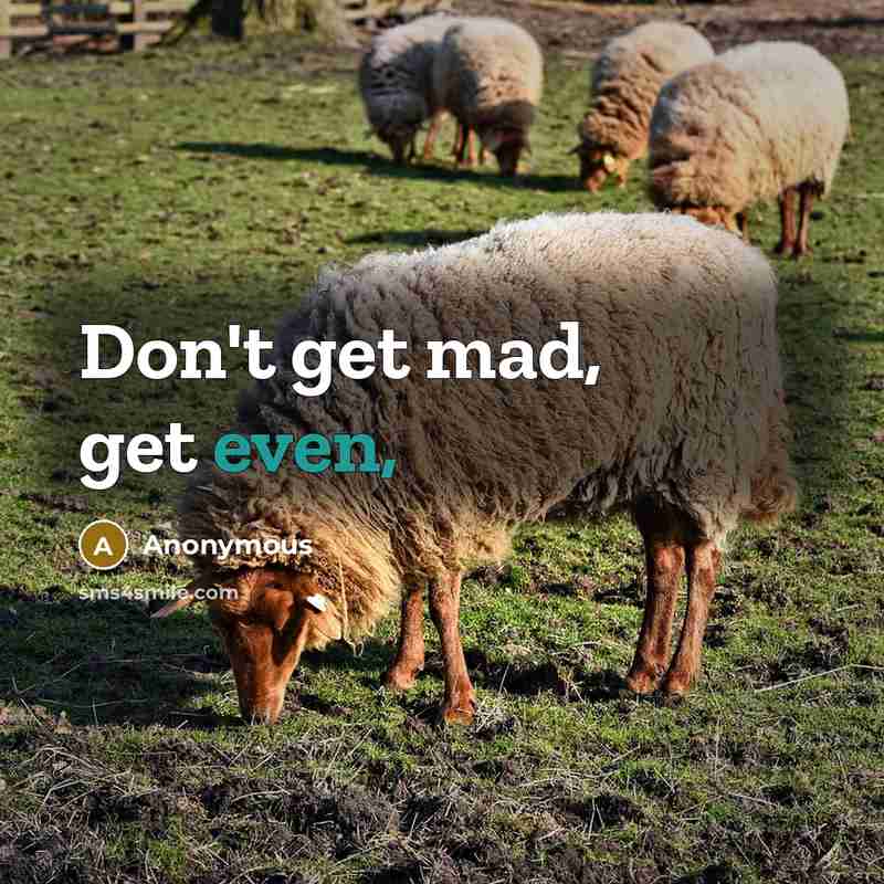 “Don't get mad, get even,” quote by Anonymous
