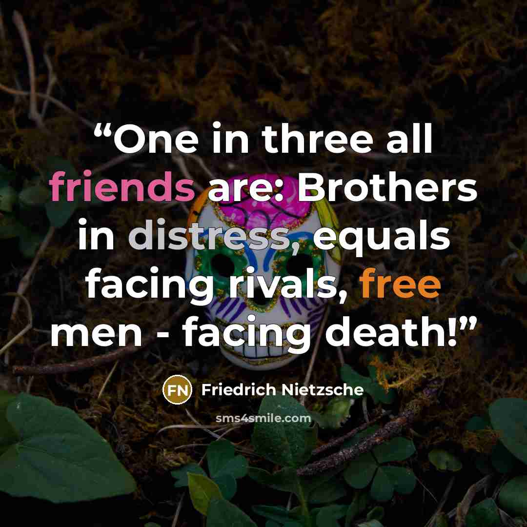 “One in three all friends are: Brothers in distress, equals facing rivals, free men - facing death!” quote by Friedrich Nietzsche