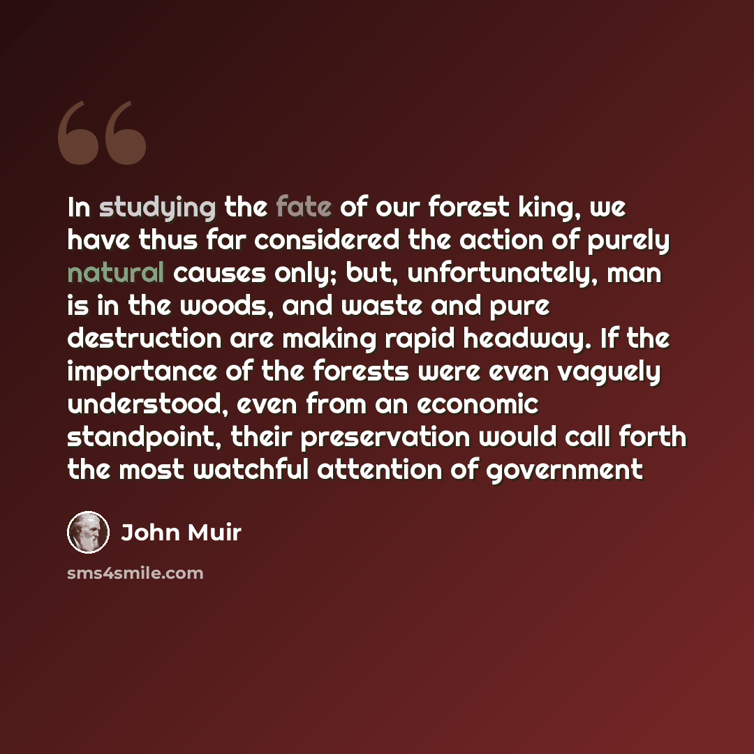 “In studying the fate of our forest king, we have thus far considered the action of purely natural causes only; but, unfortunately, man is in the woods, and waste and pure destruction are making rapid headway. If the importance of the forests were even vaguely understood, even from an economic…” quote by John Muir