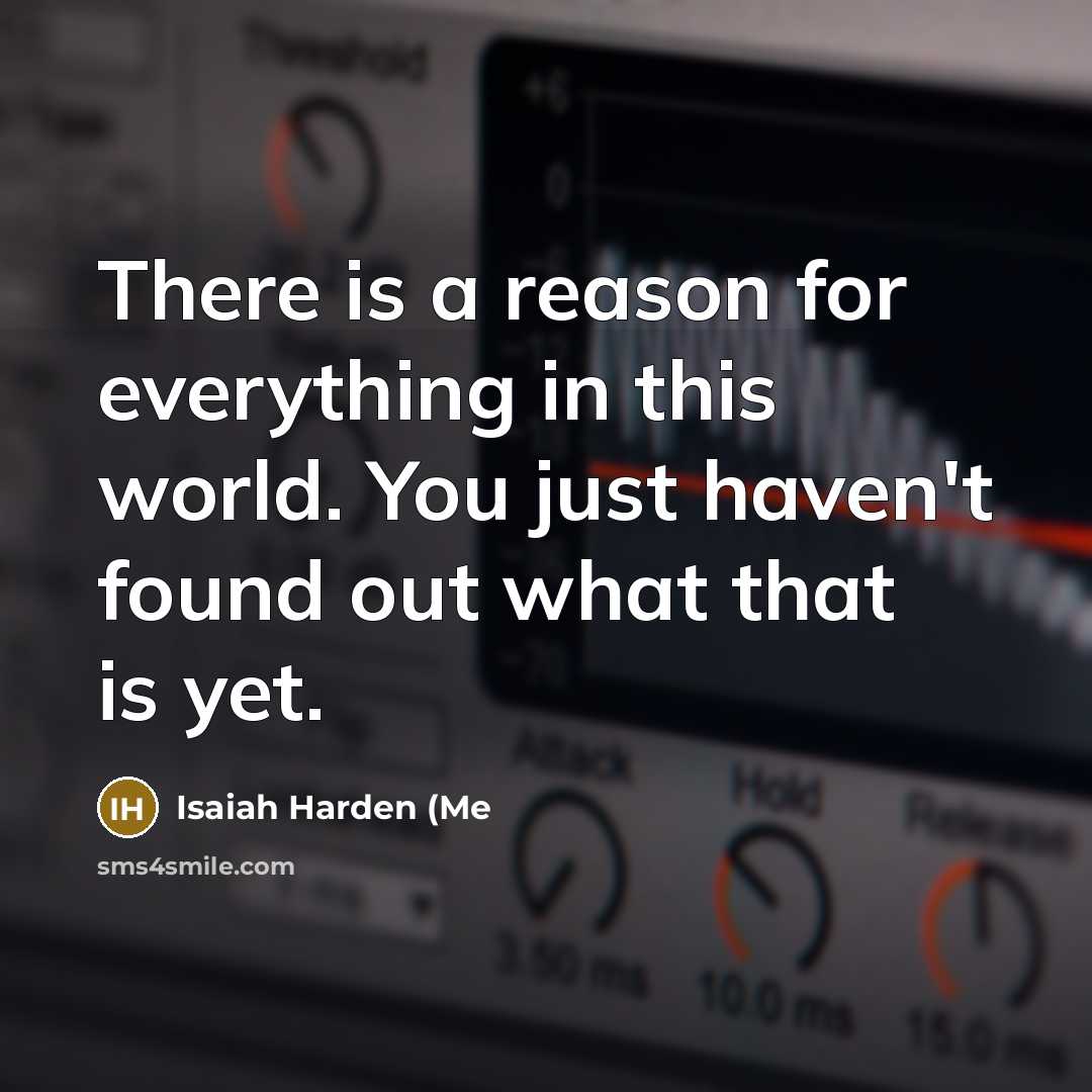 “There is a reason for everything in this world. You just haven't found out what that is yet.” quote by Isaiah Harden (Me