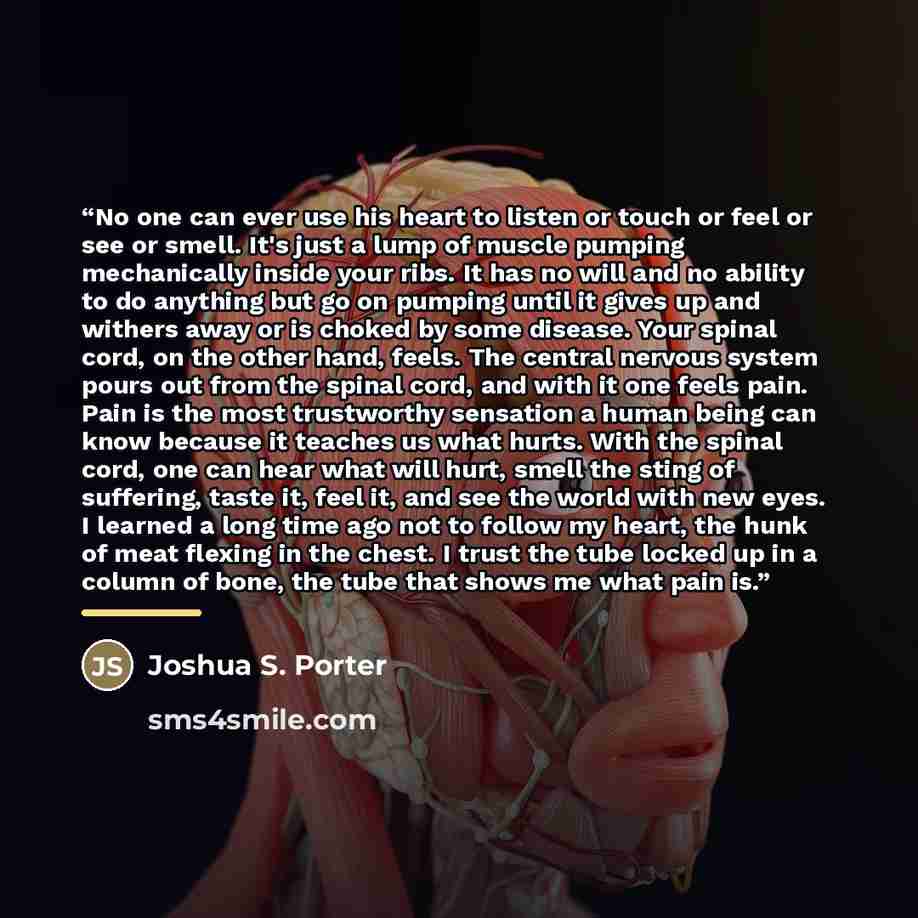 “No one can ever use his heart to listen or touch or feel or see or smell. It's just a lump of muscle pumping mechanically inside your ribs. It has no will and no ability to do anything but go on pumping until it gives up and withers away or is choked by some disease. Your spinal cord, on the other…” quote by Anonymous