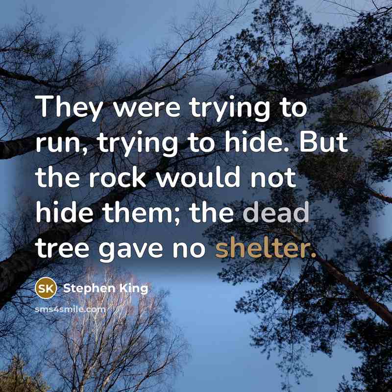 “They were trying to run, trying to hide. But the rock would not hide them; the dead tree gave no shelter.” quote by Stephen King