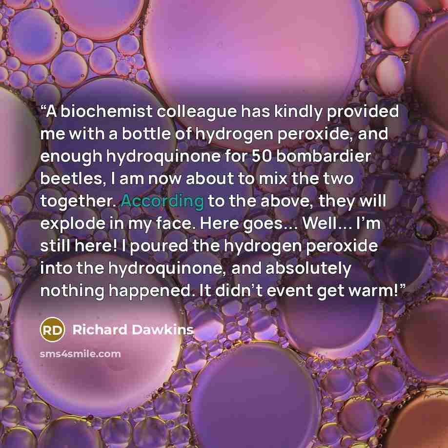 “A biochemist colleague has kindly provided me with a bottle of hydrogen peroxide, and enough hydroquinone for 50 bombardier beetles, I am now about to mix the two together. According to the above, they will explode in my face. Here goes... Well... I'm still here! I poured the hydrogen peroxide…” quote by Richard Dawkins