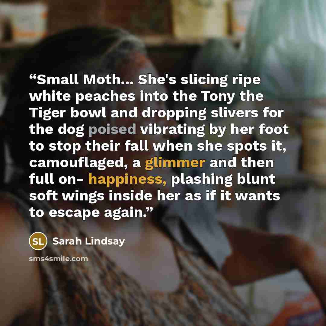 “Small Moth... She's slicing ripe white peaches into the Tony the Tiger bowl and dropping slivers for the dog poised vibrating by her foot to stop their fall when she spots it, camouflaged, a glimmer and then full on- happiness, plashing blunt soft wings inside her as if it wants to escape again.” quote by Sarah Lindsay