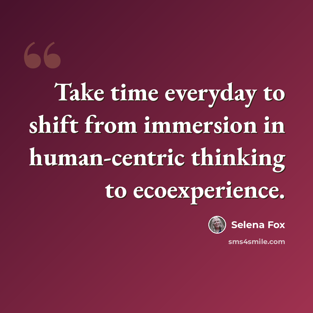 “Take time everyday to shift from immersion in human-centric thinking to ecoexperience.” quote by Selena Fox