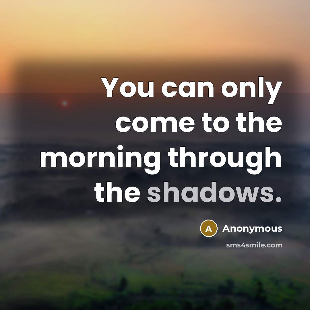 “You can only come to the morning through the shadows.” quote by Anonymous