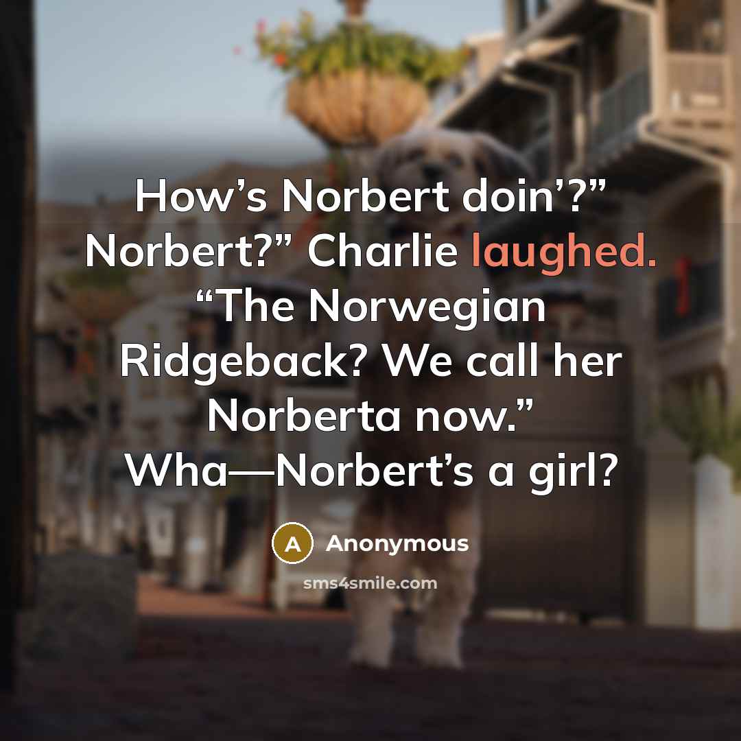 “How’s Norbert doin’?” Norbert?” Charlie laughed. “The Norwegian Ridgeback? We call her Norberta now.” Wha—Norbert’s a girl?” quote by Anonymous