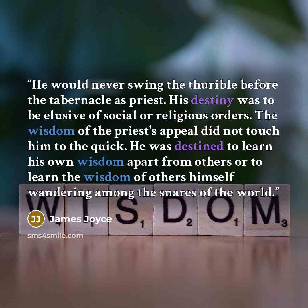 “He would never swing the thurible before the tabernacle as priest. His destiny was to be elusive of social or religious orders. The wisdom of the priest's appeal did not touch him to the quick. He was destined to learn his own wisdom apart from others or to learn the wisdom of others himself…” quote by James Joyce