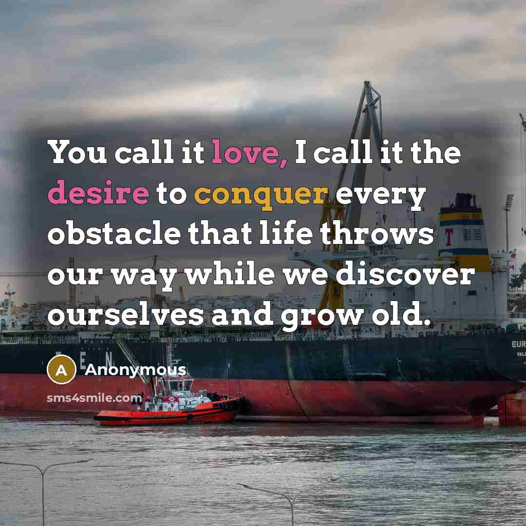 “You call it love, I call it the desire to conquer every obstacle that life throws our way while we discover ourselves and grow old.” quote by Anonymous