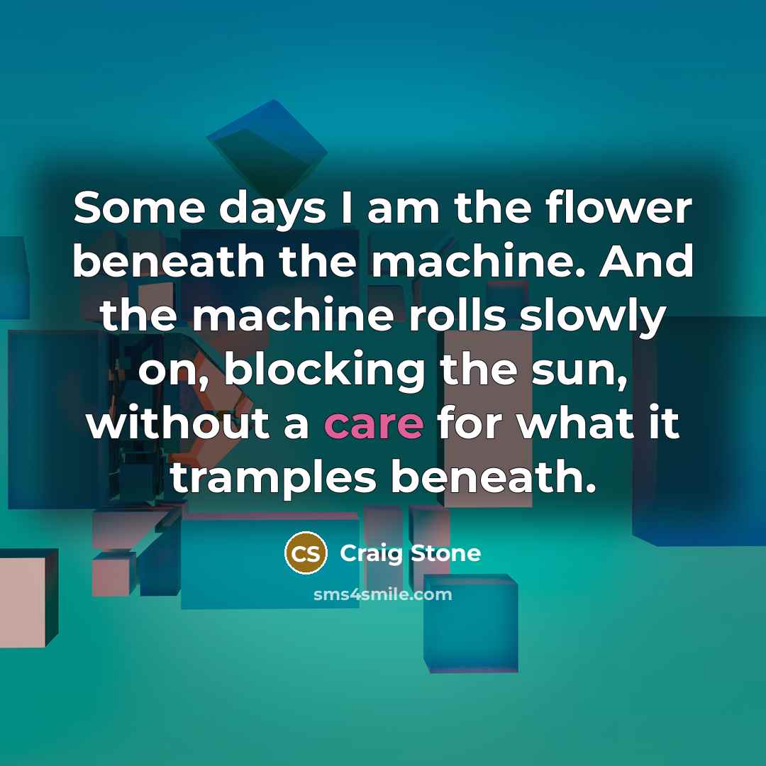 “Some days I am the flower beneath the machine. And the machine rolls slowly on, blocking the sun, without a care for what it tramples beneath.” quote by Craig Stone