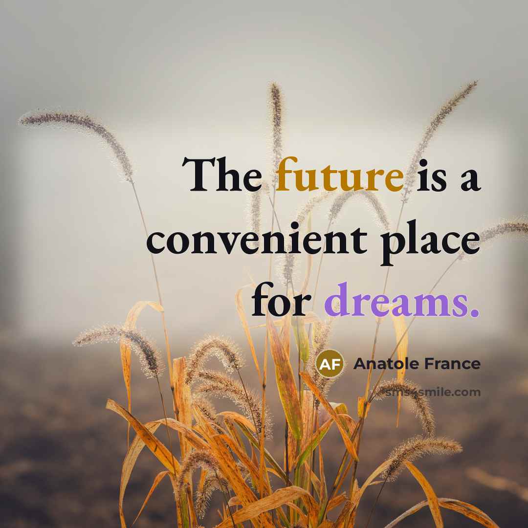 “The future is a convenient place for dreams.” quote by Anatole France