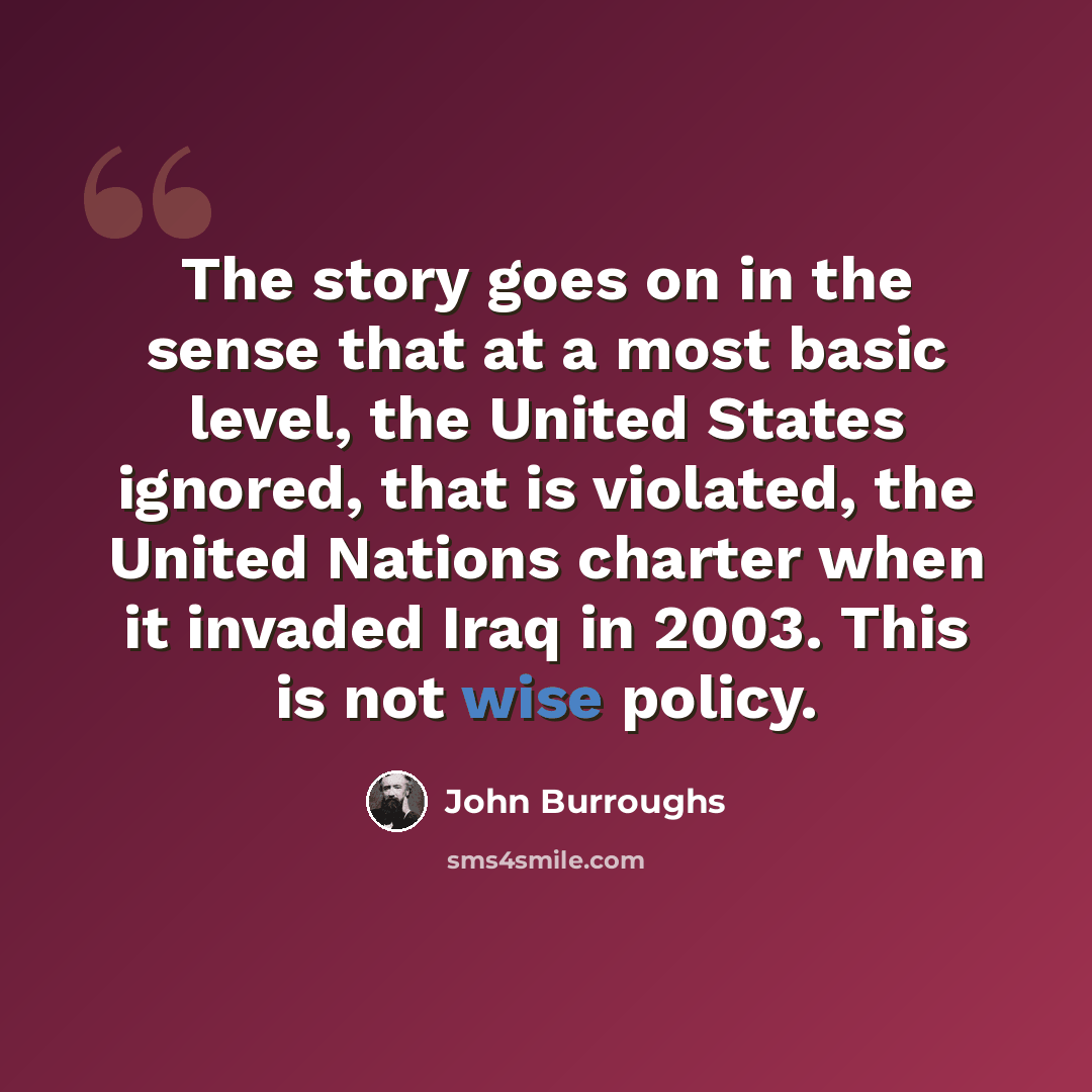 “The story goes on in the sense that at a most basic level, the United States ignored, that is violated, the United Nations charter when it invaded Iraq in 2003. This is not wise policy.” quote by John Burroughs