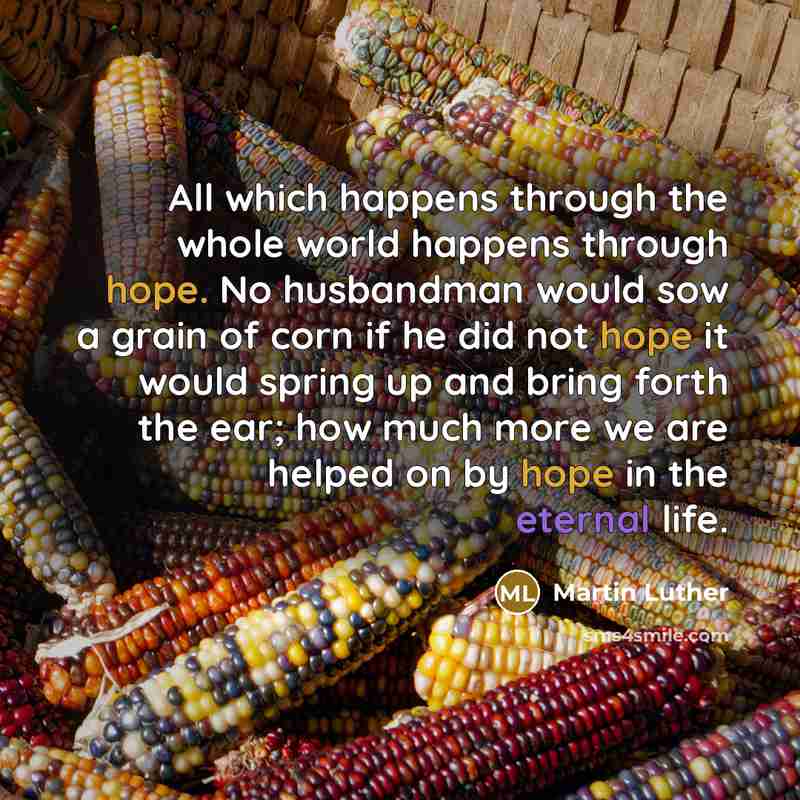“All which happens through the whole world happens through hope. No husbandman would sow a grain of corn if he did not hope it would spring up and bring forth the ear; how much more we are helped on by hope in the eternal life.” quote by Martin Luther