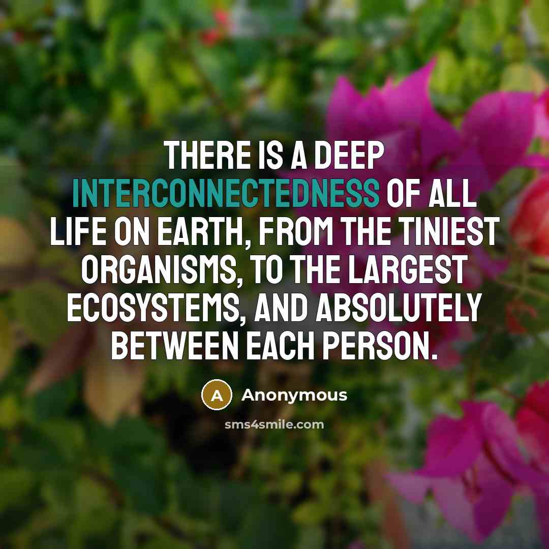 “There is a deep interconnectedness of all life on earth, from the tiniest organisms, to the largest ecosystems, and absolutely between each person.” quote by Anonymous