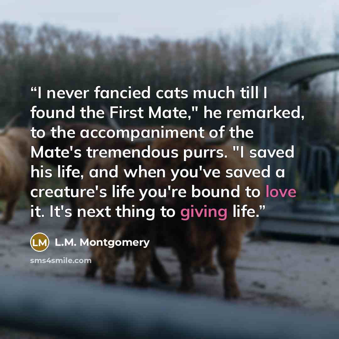 “I never fancied cats much till I found the First Mate," he remarked, to the accompaniment of the Mate's tremendous purrs. "I saved his life, and when you've saved a creature's life you're bound to love it. It's next thing to giving life.” quote by L.M. Montgomery