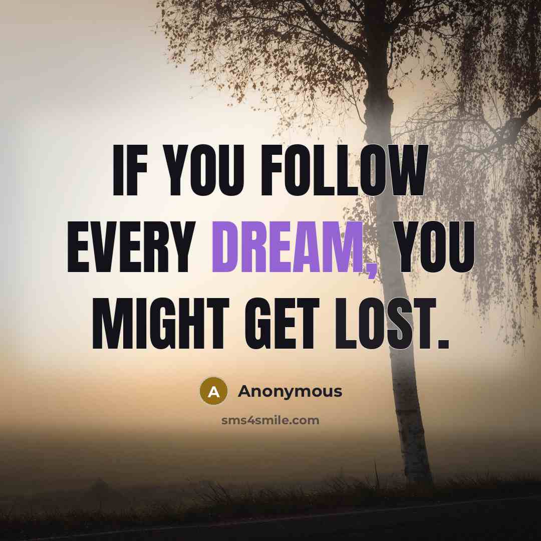 “If you follow every dream, you might get lost.” quote by Anonymous