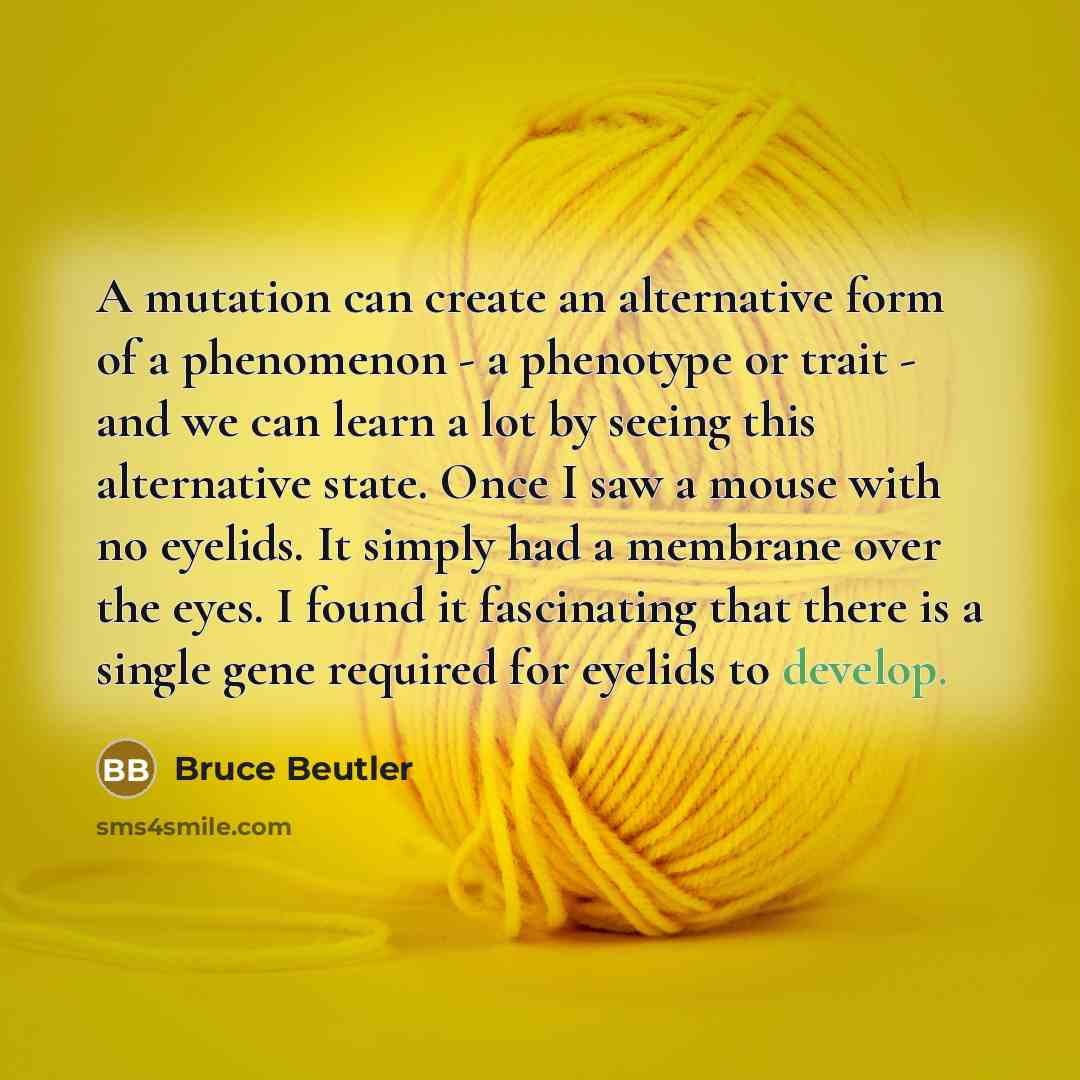 “A mutation can create an alternative form of a phenomenon - a phenotype or trait - and we can learn a lot by seeing this alternative state. Once I saw a mouse with no eyelids. It simply had a membrane over the eyes. I found it fascinating that there is a single gene required for eyelids to develop.” quote by Bruce Beutler