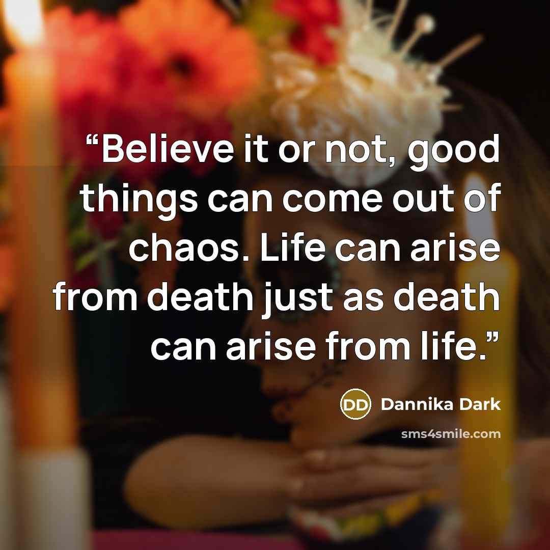 “Believe it or not, good things can come out of chaos. Life can arise from death just as death can arise from life.” quote by Dannika Dark