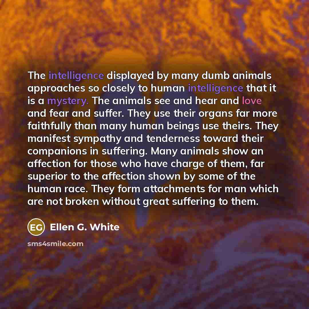 “The intelligence displayed by many dumb animals approaches so closely to human intelligence that it is a mystery. The animals see and hear and love and fear and suffer. They use their organs far more faithfully than many human beings use theirs. They manifest sympathy and tenderness toward their…” quote by Ellen G. White