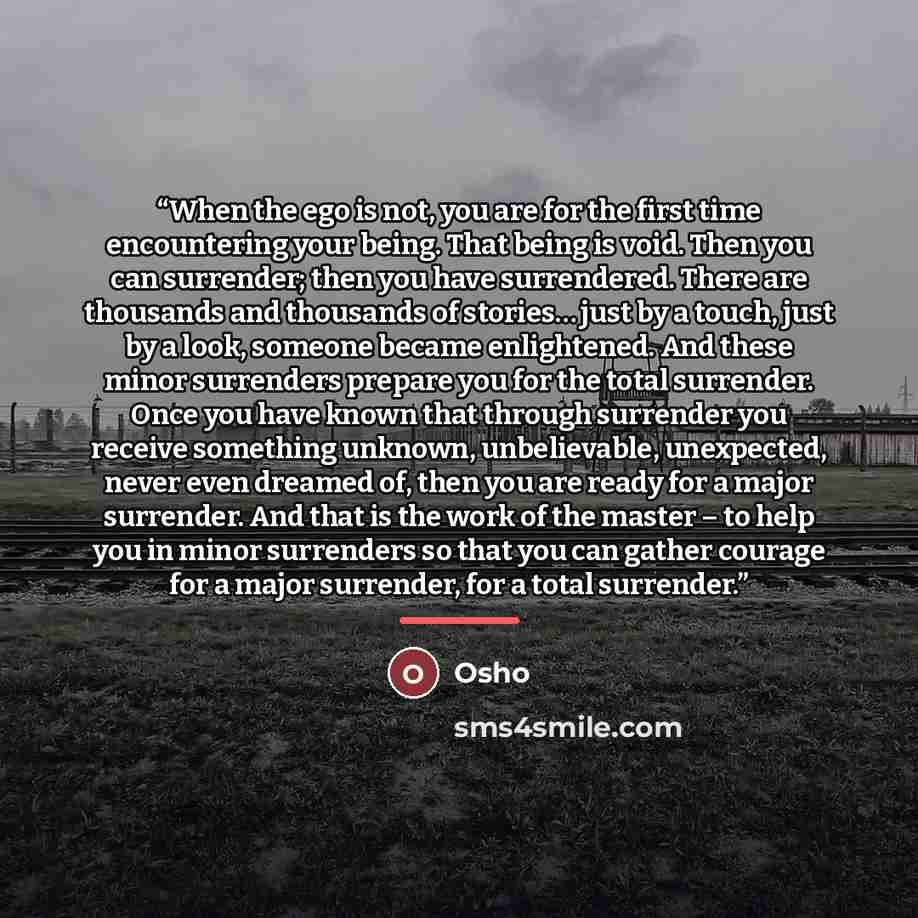 “When the ego is not, you are for the first time encountering your being. That being is void. Then you can surrender; then you have surrendered. There are thousands and thousands of stories… just by a touch, just by a look, someone became enlightened. And these minor surrenders prepare you for the…” quote by Osho