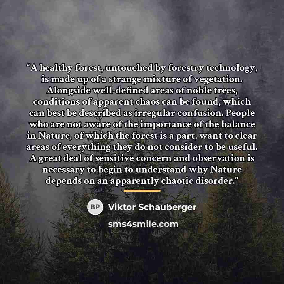 “A healthy forest, untouched by forestry technology, is made up of a strange mixture of vegetation. Alongside well-defined areas of noble trees, conditions of apparent chaos can be found, which can best be described as irregular confusion. People who are not aware of the importance of the balance…” quote by Viktor Schauberger