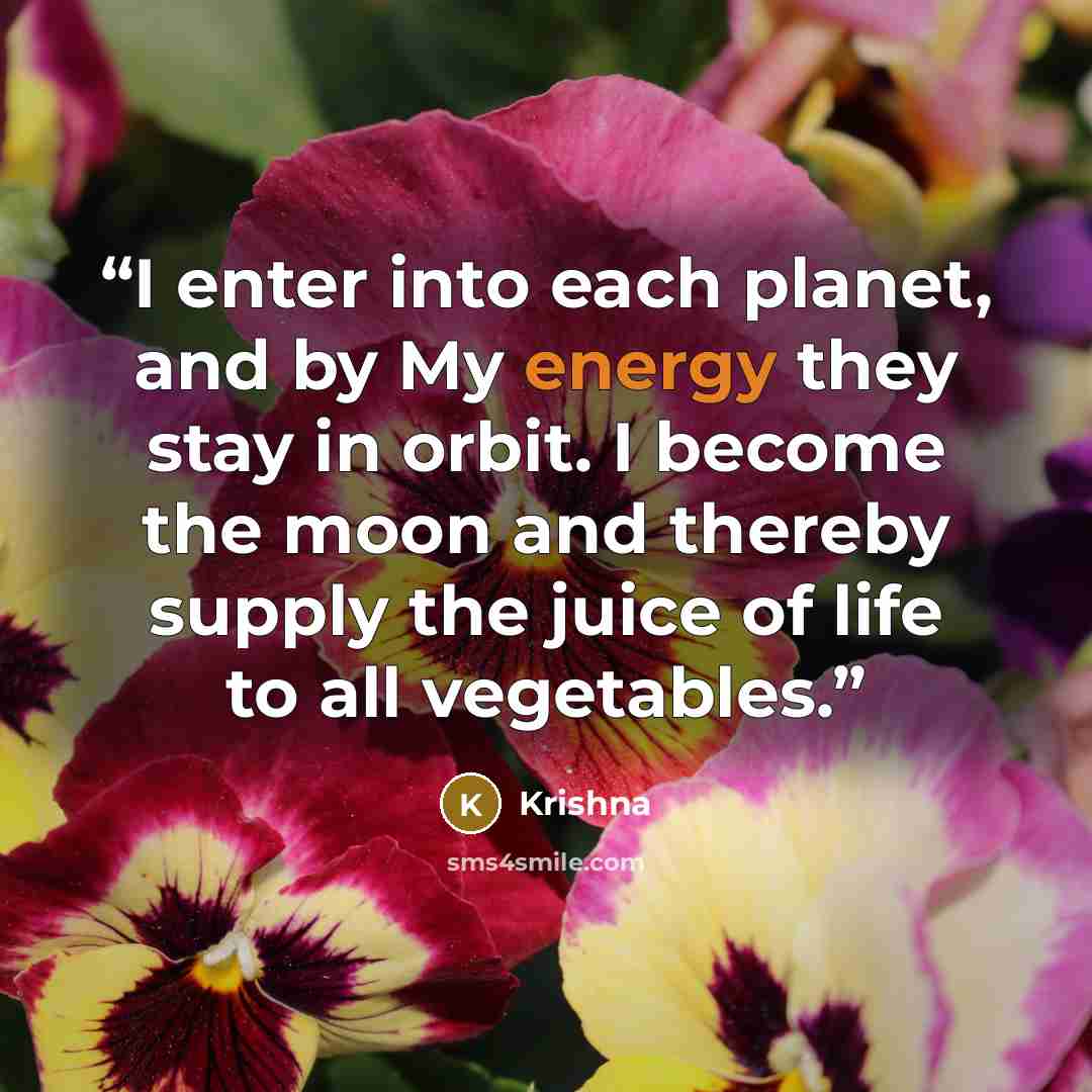 “I enter into each planet, and by My energy they stay in orbit. I become the moon and thereby supply the juice of life to all vegetables.” quote by Krishna