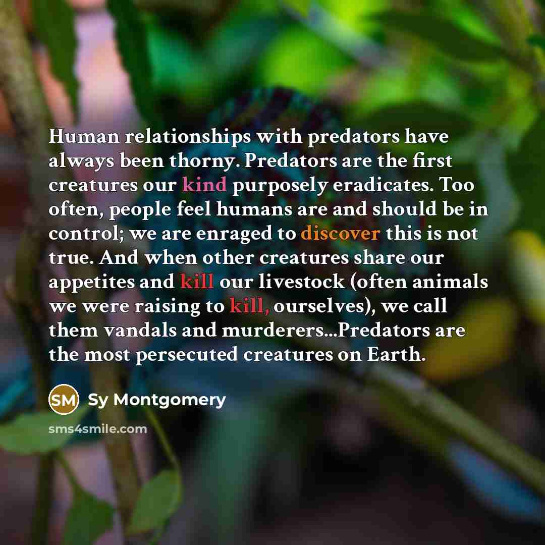 “Human relationships with predators have always been thorny. Predators are the first creatures our kind purposely eradicates. Too often, people feel humans are and should be in control; we are enraged to discover this is not true. And when other creatures share our appetites and kill our livestock…” quote by Sy Montgomery