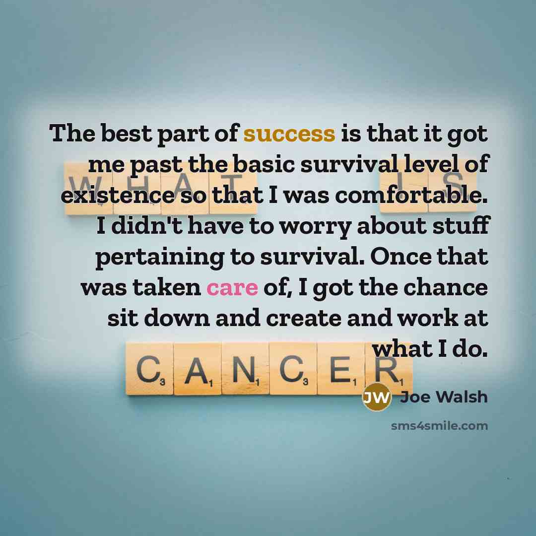 “The best part of success is that it got me past the basic survival level of existence so that I was comfortable. I didn't have to worry about stuff pertaining to survival. Once that was taken care of, I got the chance sit down and create and work at what I do.” quote by Joe Walsh