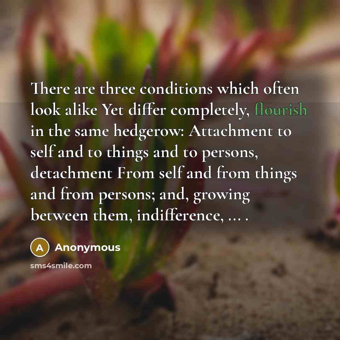 “There are three conditions which often look alike Yet differ completely, flourish in the same hedgerow: Attachment to self and to things and to persons, detachment From self and from things and from persons; and, growing between them, indifference, ... .” quote by Anonymous