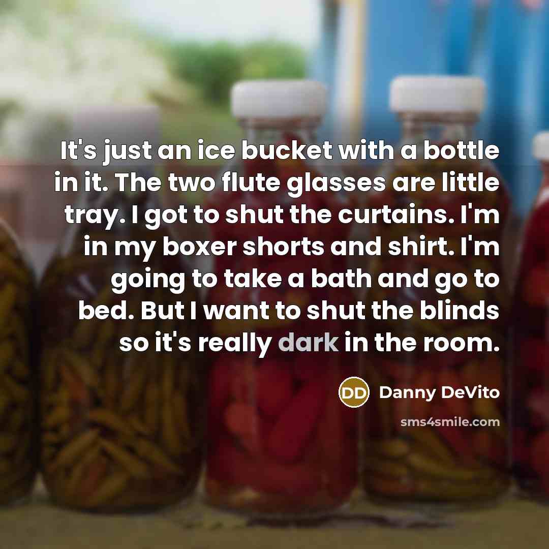 “It's just an ice bucket with a bottle in it. The two flute glasses are little tray. I got to shut the curtains. I'm in my boxer shorts and shirt. I'm going to take a bath and go to bed. But I want to shut the blinds so it's really dark in the room.” quote by Danny DeVito