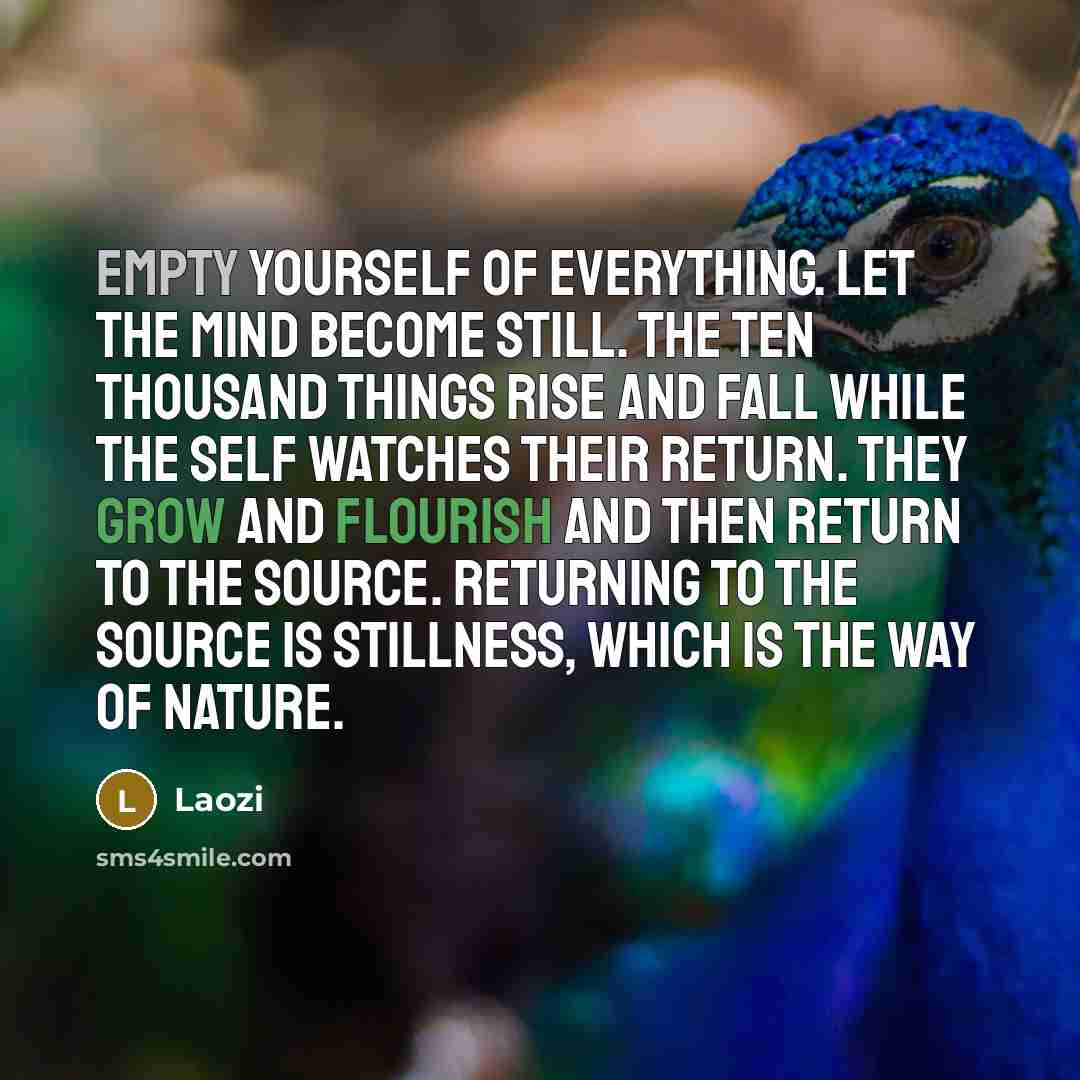 “Empty yourself of everything. Let the mind become still. The ten thousand things rise and fall while the Self watches their return. They grow and flourish and then return to the source. Returning to the source is stillness, which is the way of nature.” quote by Laozi