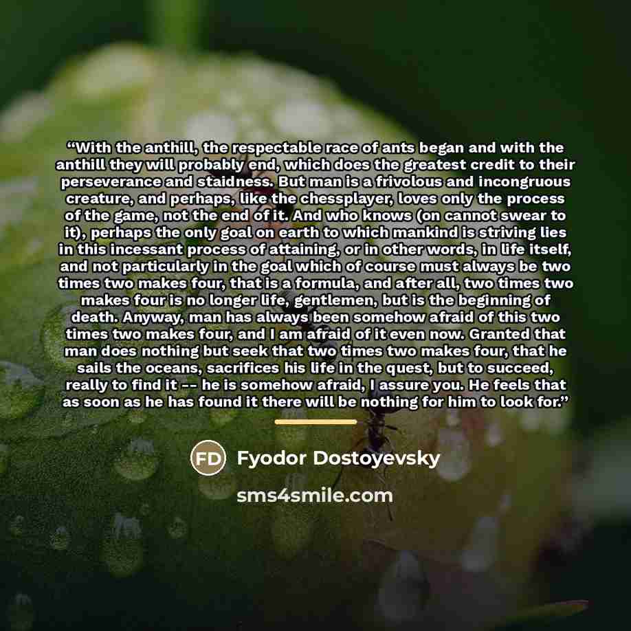 “With the anthill, the respectable race of ants began and with the anthill they will probably end, which does the greatest credit to their perseverance and staidness. But man is a frivolous and incongruous creature, and perhaps, like the chessplayer, loves only the process of the game, not the end…” quote by Fyodor Dostoyevsky
