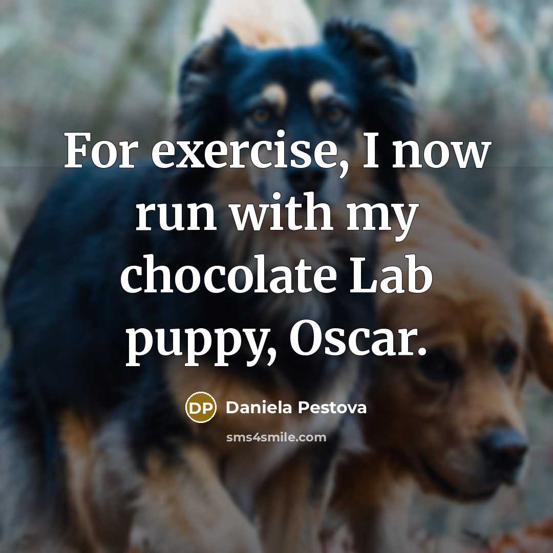 “For exercise, I now run with my chocolate Lab puppy, Oscar.” quote by Daniela Pestova