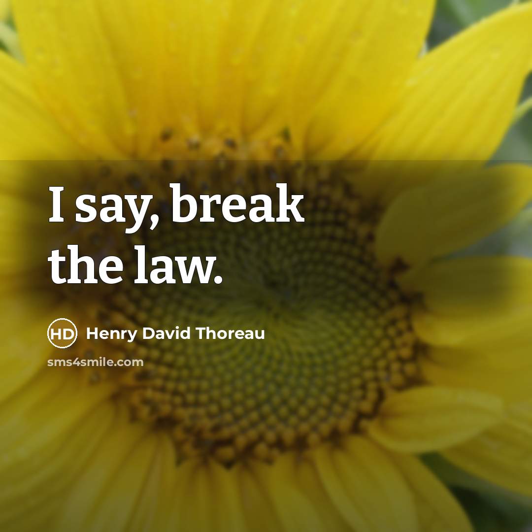 “I say, break the law.” quote by Henry David Thoreau